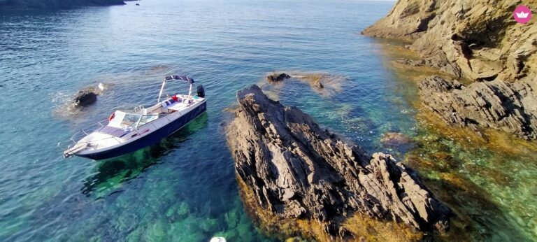 blue charter pagina barco